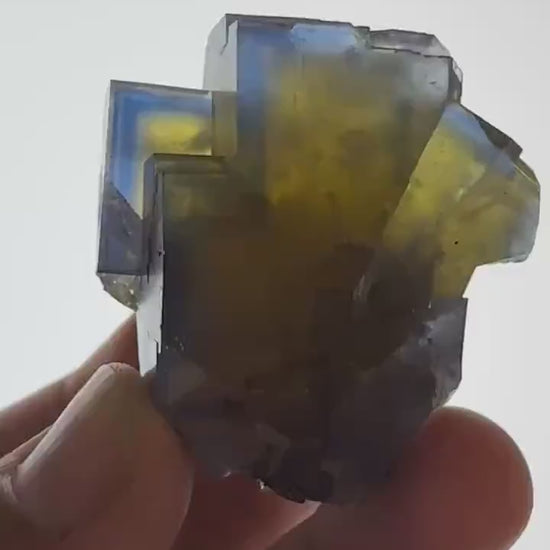 Blue - Yellow Fluorite Crystal