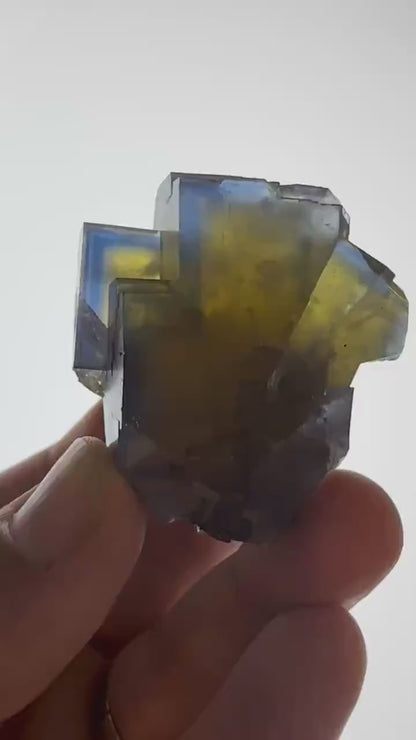 Blue - Yellow Fluorite Crystal