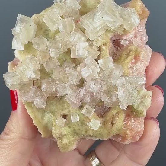 New Find! Bicolor Halite Crystal Rainbow Halite on Trona, Halite Crystal