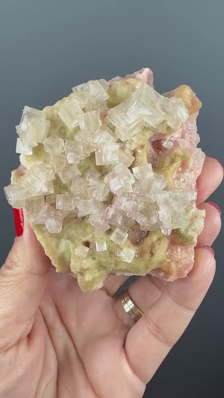 New Find! Bicolor Halite Crystal Rainbow Halite on Trona, Halite Crystal