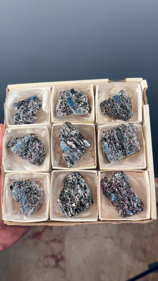 Kyanite with garnet, albite, biotite and Quartz Specimen Lot