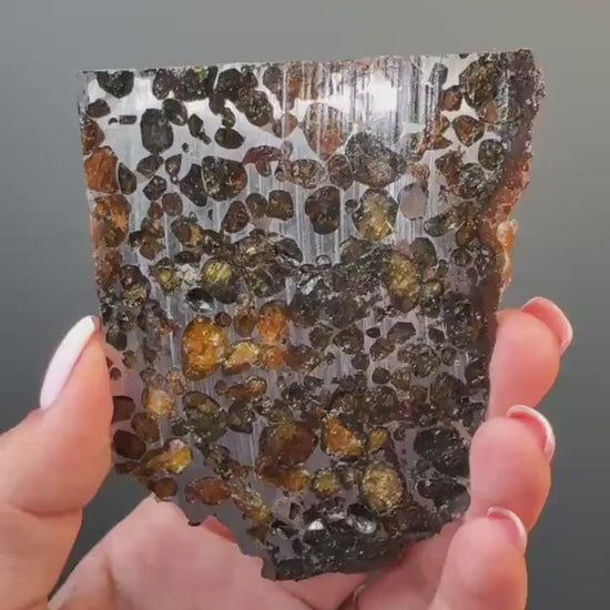 RARE !Seymchan Pallasite Meteorite Slab, Pallasite Meteorite