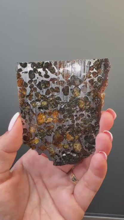 RARE !Seymchan Pallasite Meteorite Slab, Pallasite Meteorite