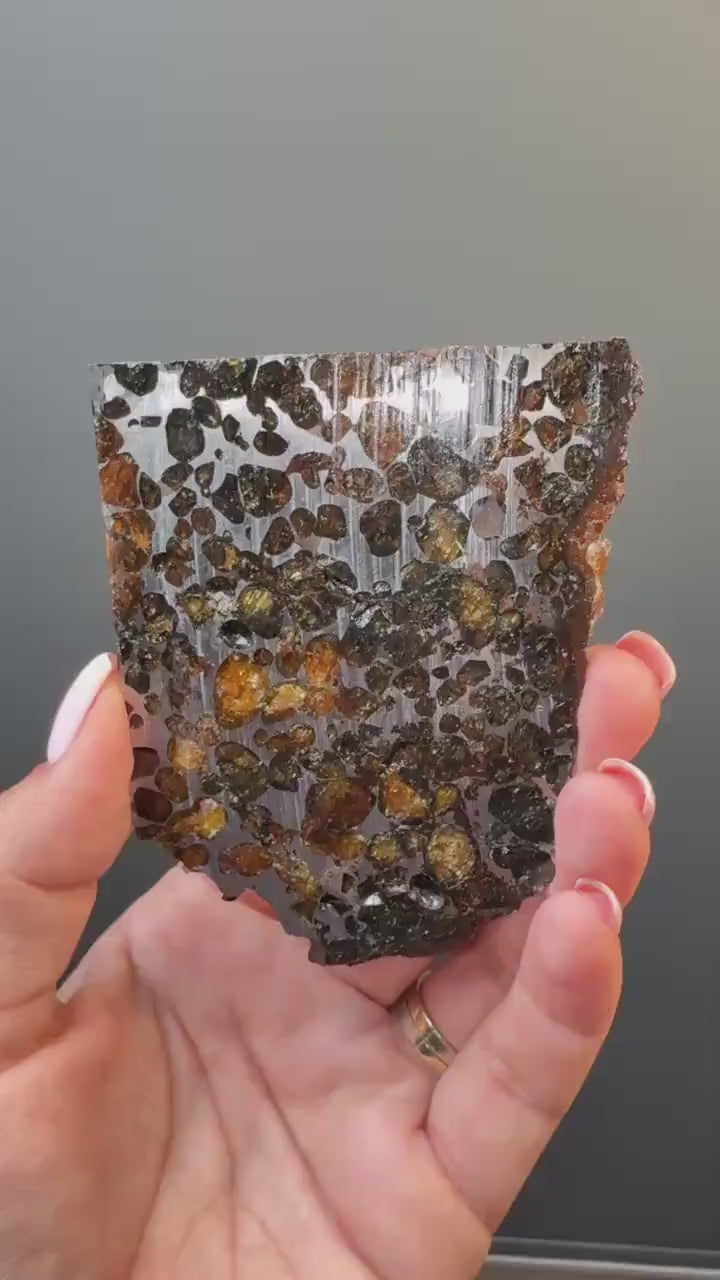 RARE !Seymchan Pallasite Meteorite Slab, Pallasite Meteorite