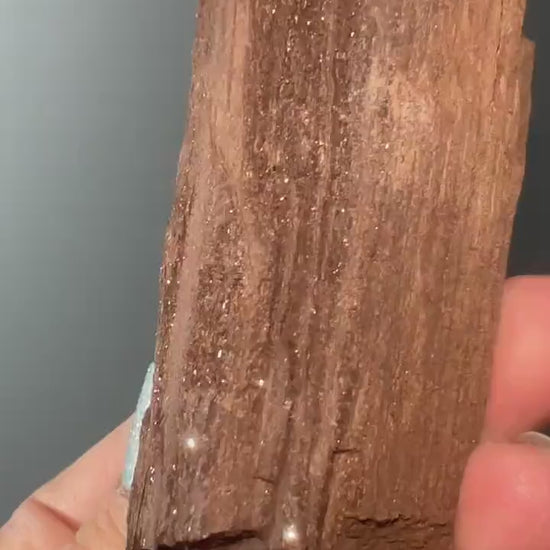 Rare!Triassic Permineralized Fossil  Wood with Sparkling Druzy Crystals From Germany