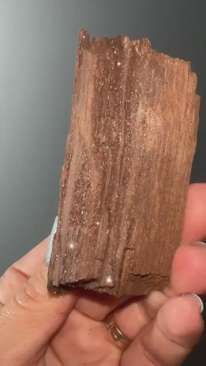 Rare!Triassic Permineralized Fossil  Wood with Sparkling Druzy Crystals From Germany