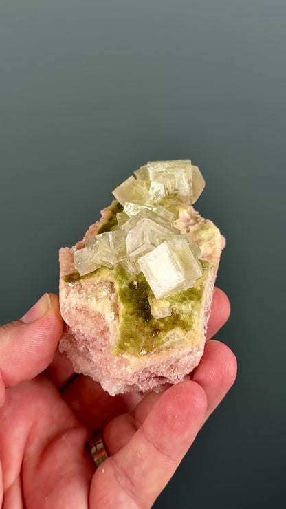 Bicolor Halite Crystal Rainbow Halite on Trona Lot