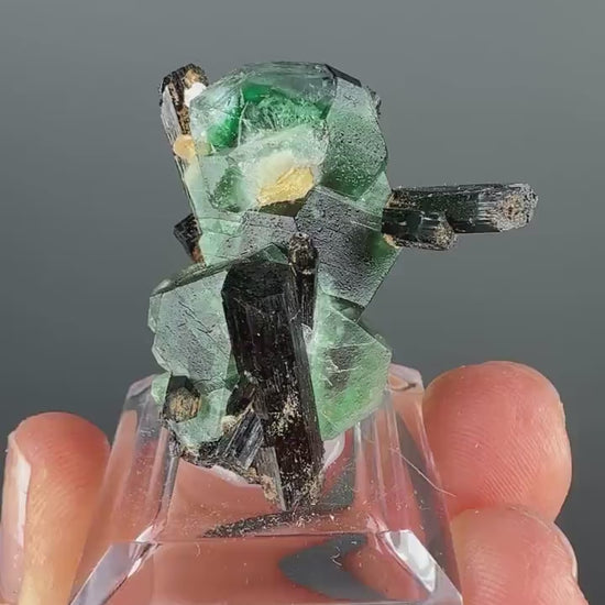 Fluorite with  Black Tourmaline Crystal (Lollipop Pocket), Erongo, Namibia