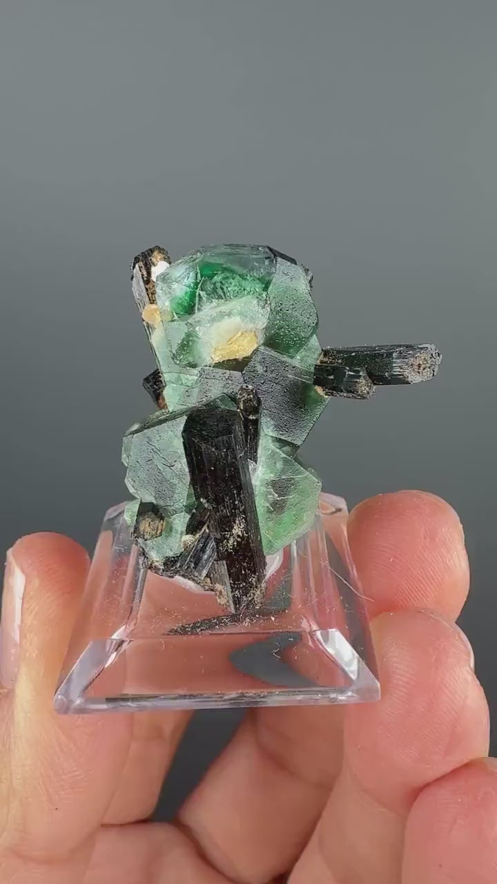 Fluorite with  Black Tourmaline Crystal (Lollipop Pocket), Erongo, Namibia