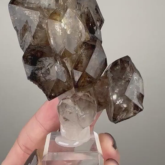 Juicy Fenster Window Smoky Quartz Crystal From Tanzania