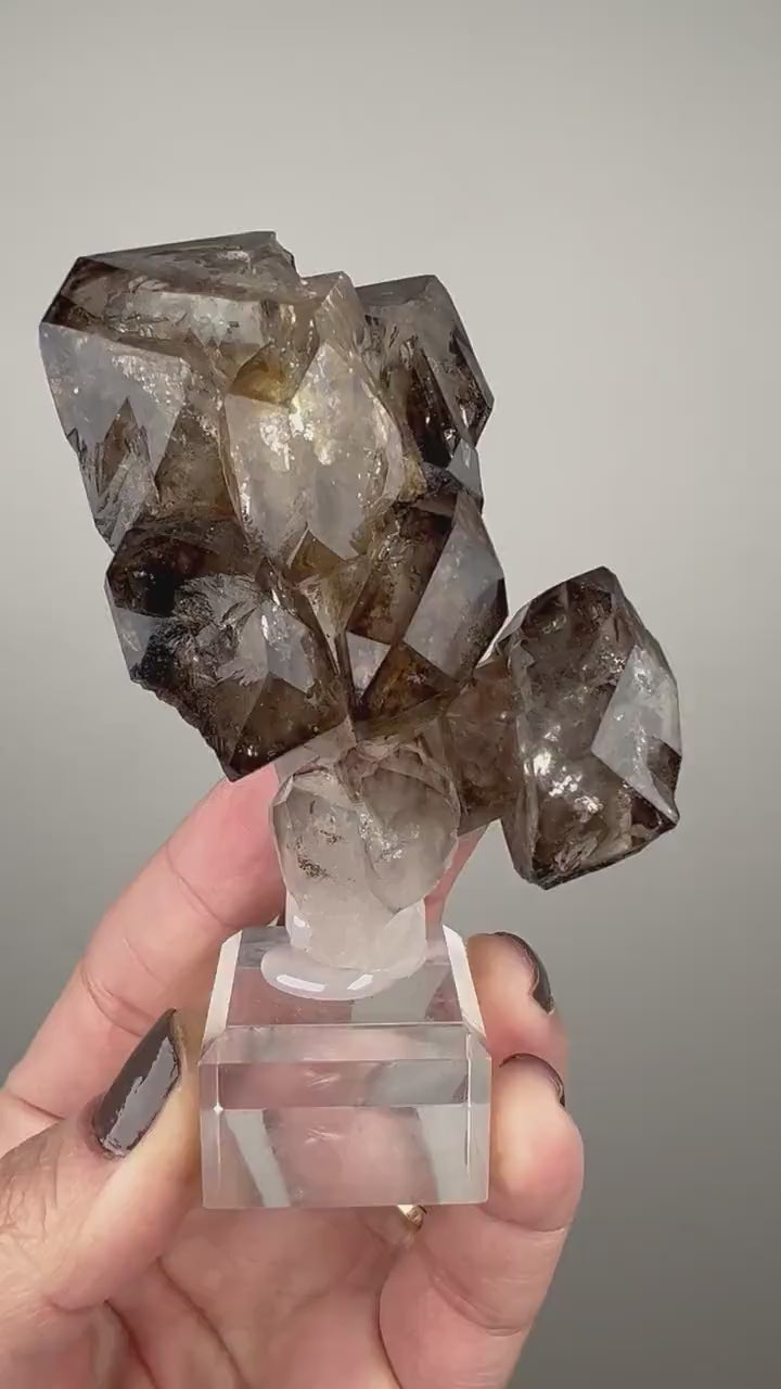 Juicy Fenster Window Smoky Quartz Crystal From Tanzania