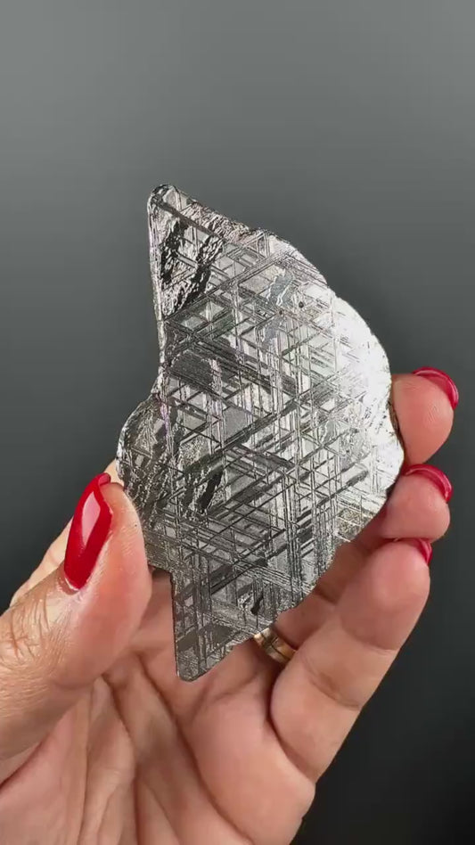 RARE !Muonionalusta Meteorite Slab