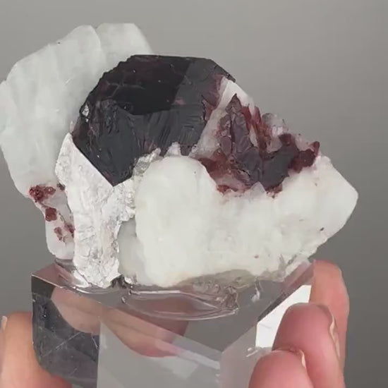 Amazing Piece! Garnet with Muscovite Crystal Specimen