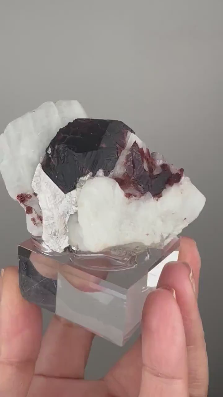 Amazing Piece! Garnet with Muscovite Crystal Specimen