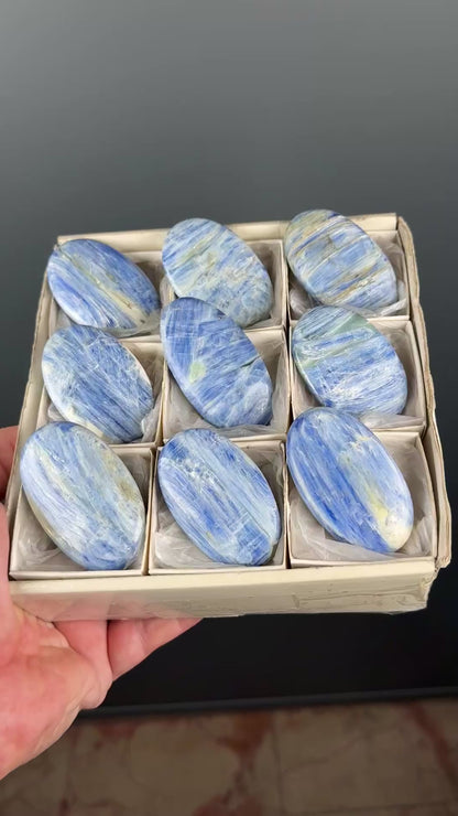 Blue Kyanite Crystal Palm Stone Lot