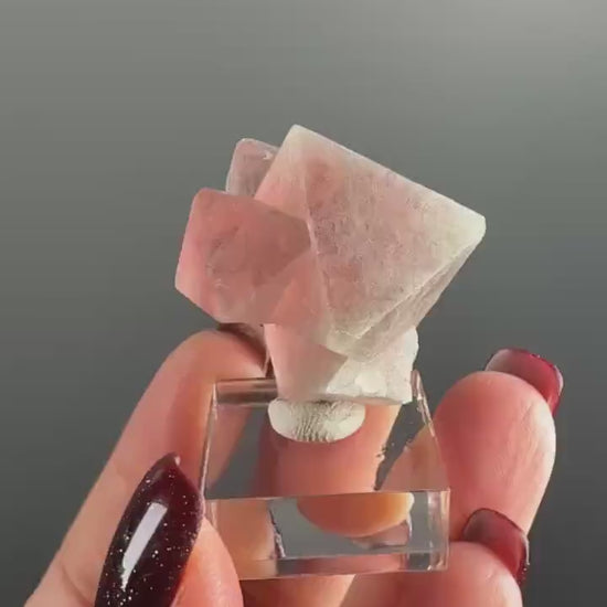 Red-Pink-Green Flourite Octahedrons with Byssolite and Actinolite Crystal