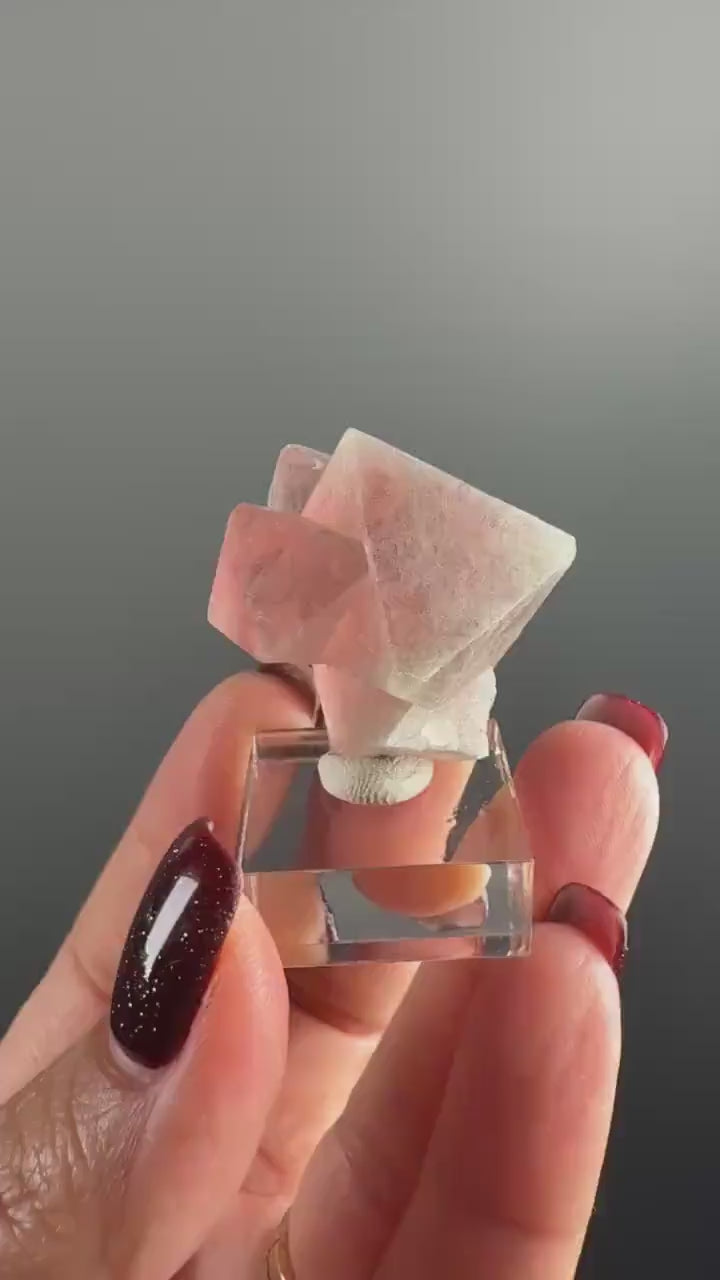 Red-Pink-Green Flourite Octahedrons with Byssolite and Actinolite Crystal