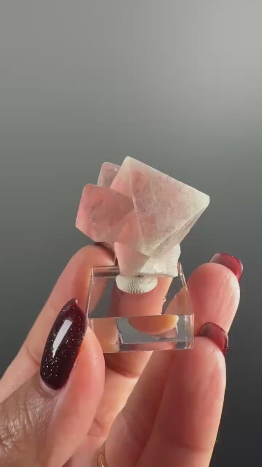 Red-Pink-Green Flourite Octahedrons with Byssolite and Actinolite Crystal