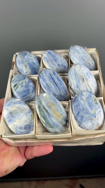 Blue Kyanite Crystal Palm Stone Lot