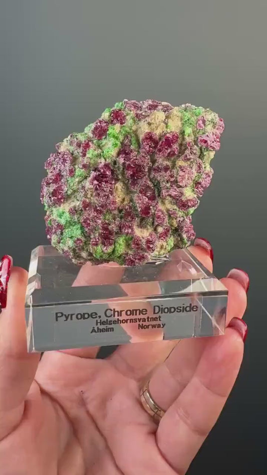 Rare! Pyrope Garnet with Chrom Diopsite Specimen