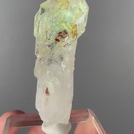 Scepter Firefly Quartz , Golden Enhydro UV Reactive Petroleum Included Quartz Crystal