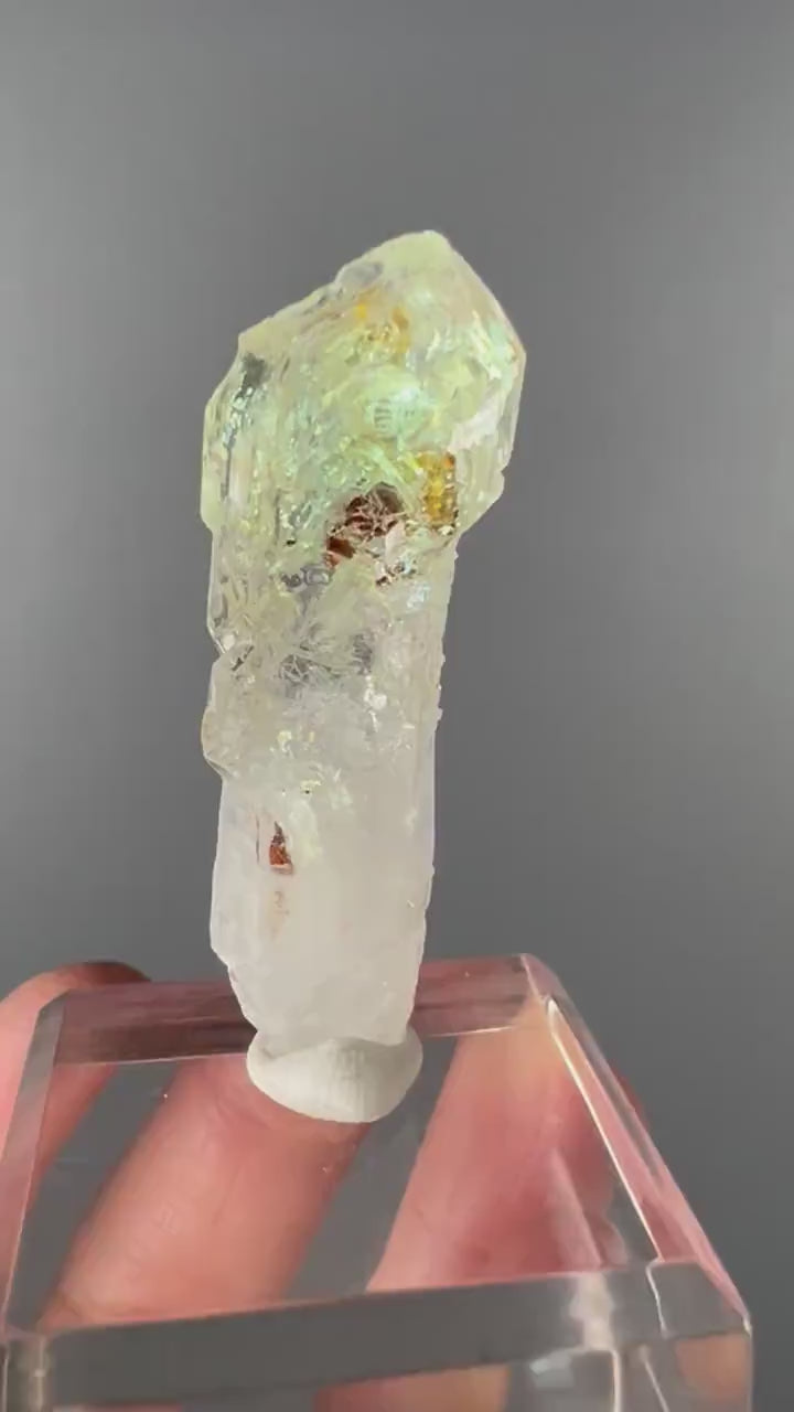 Scepter Firefly Quartz , Golden Enhydro UV Reactive Petroleum Included Quartz Crystal