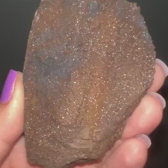 Rare!Triassic Permineralized Fossil  Wood with Sparkling Druzy Crystals From Germany