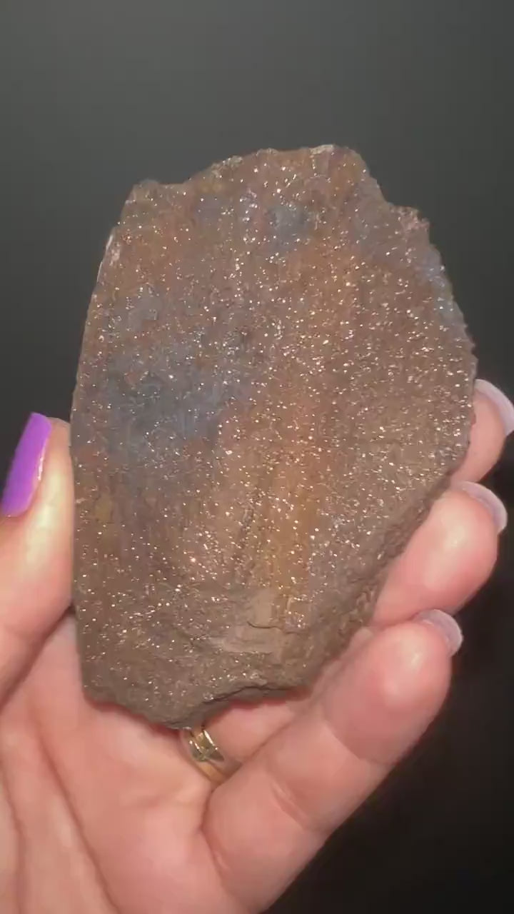 Rare!Triassic Permineralized Fossil  Wood with Sparkling Druzy Crystals From Germany