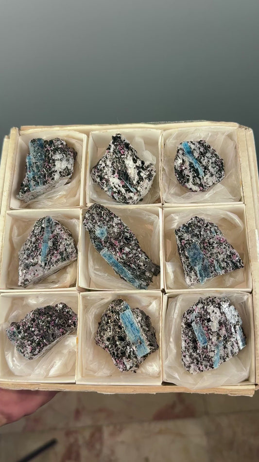 Kyanite with garnet, albite, biotite and Quartz Specimen Lot
