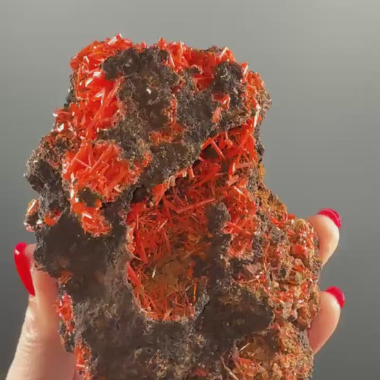 Orange Crocoite Crystal Specimen