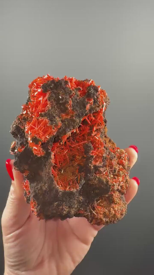 Orange Crocoite Crystal Specimen