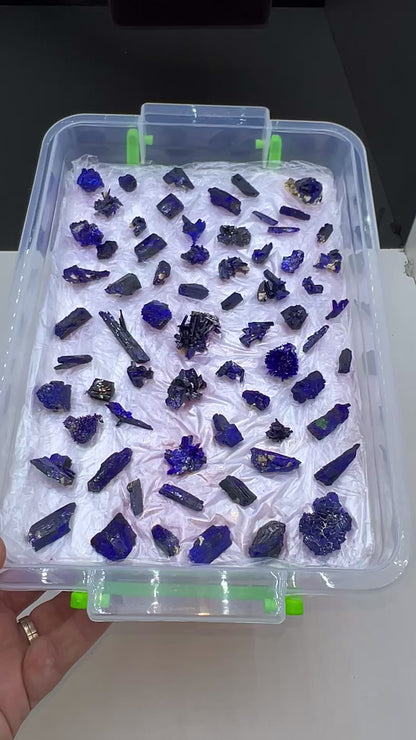 Blue Azurite Crystal  Specimen Lot 60-70 Pieces