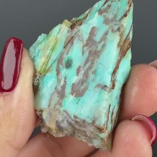 Natural Collawood  (Colla Petrified Wood) with Chrysocolla and Malachite