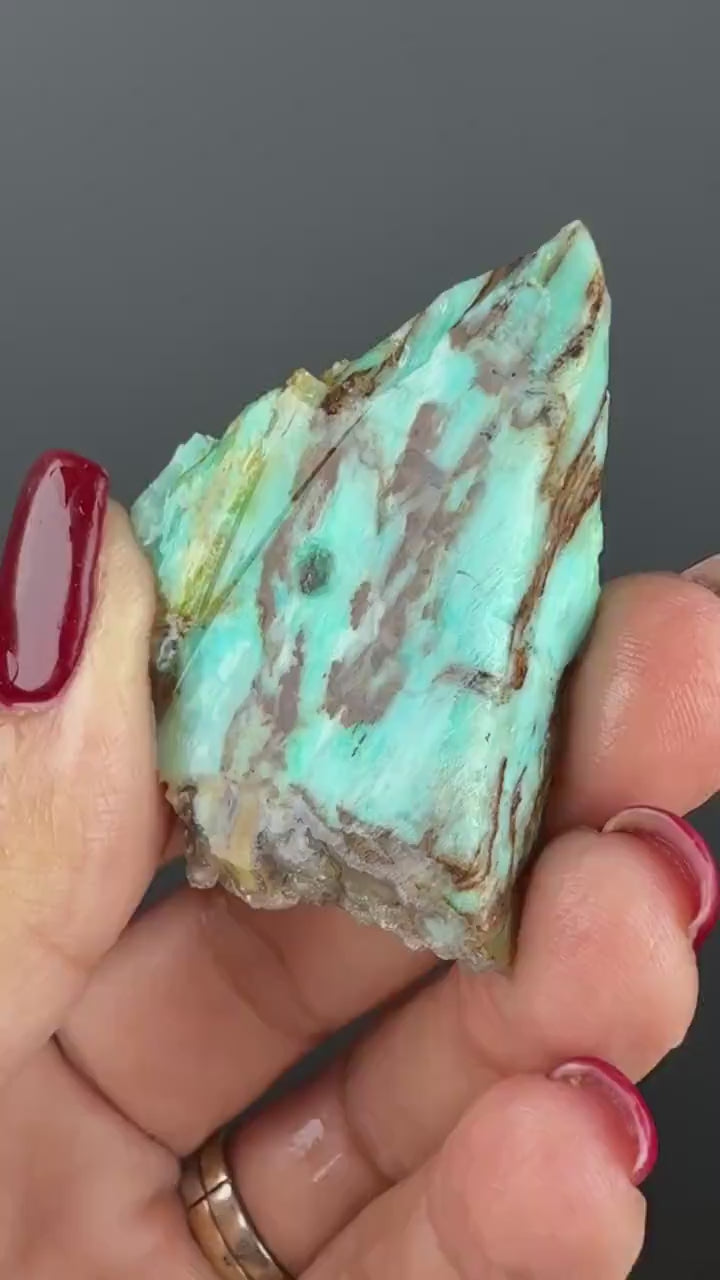 Natural Collawood  (Colla Petrified Wood) with Chrysocolla and Malachite