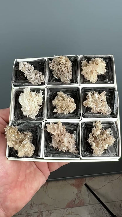 Reticulated Cerussite Specimen Lot