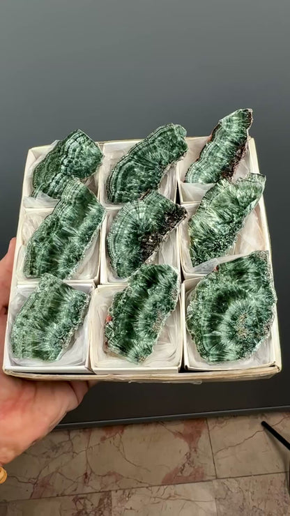 Forest Green Seraphinite Slab Lot