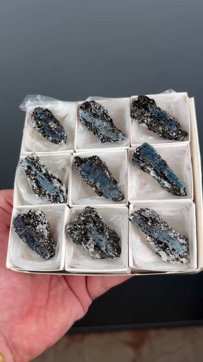 Kyanite with garnet, albite, biotite and Quartz Specimen Lot