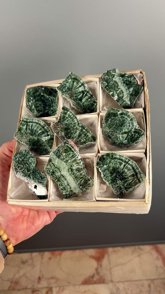 Forest Green Seraphinite Slab Lot