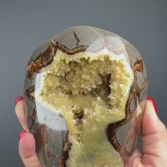 UV Reactive! Utah Septarian Geodes