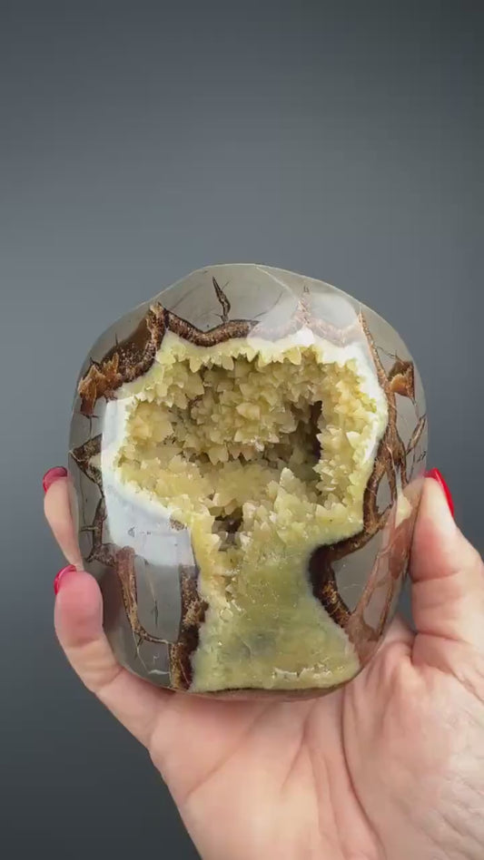 UV Reactive! Utah Septarian Geodes