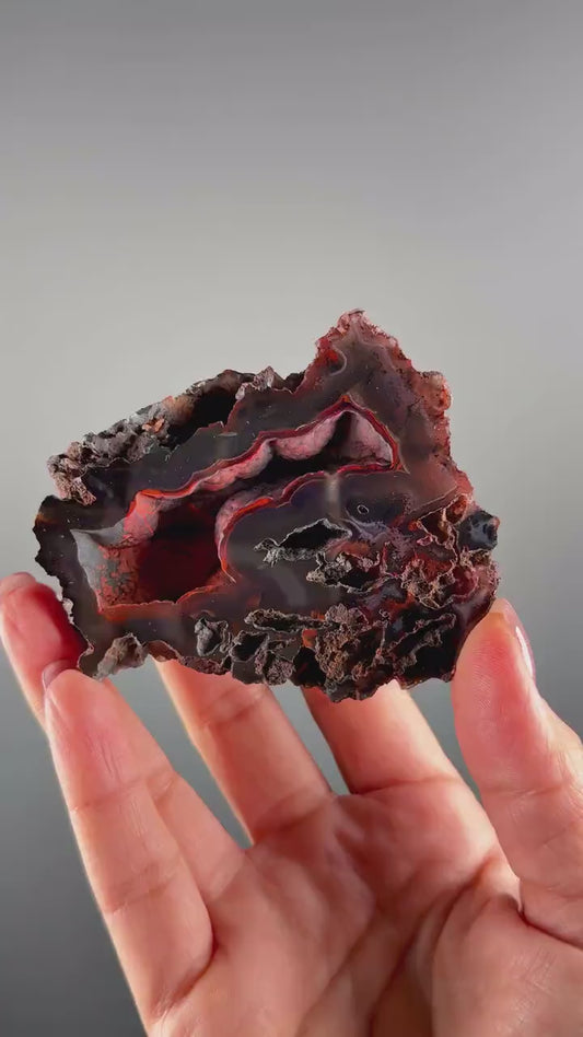 Rare Red Fox Agate Specimen: UV Reactive, Patagonia Origin