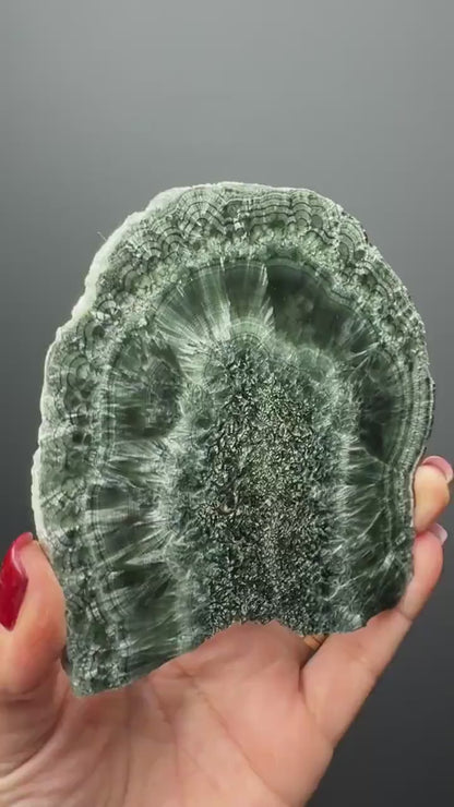 Feel the Serenity!Deep Forest Green Seraphinite Slab, Seraphinite Slab