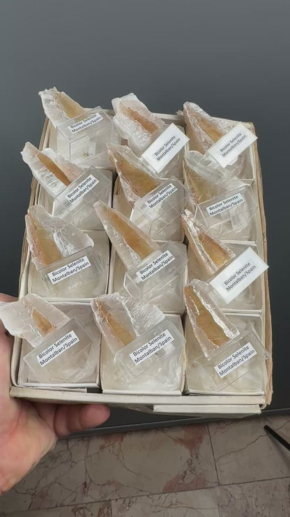 Bicolor Selenite Lot