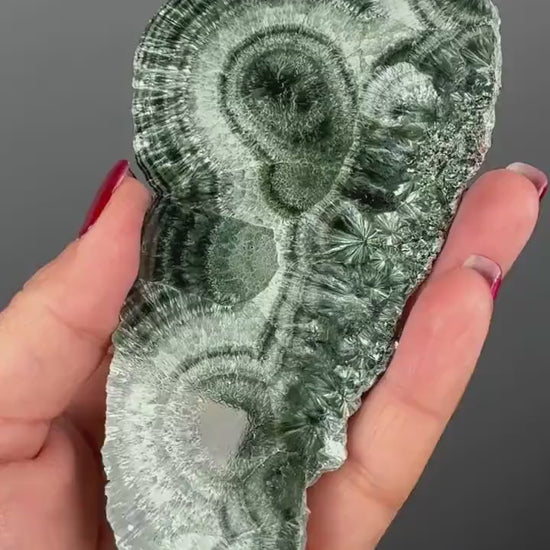 Feel the Serenity!Deep Forest Green Seraphinite Slab, Seraphinite Slab