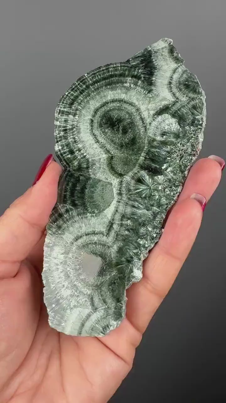 Feel the Serenity!Deep Forest Green Seraphinite Slab, Seraphinite Slab