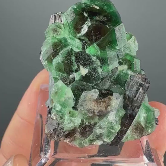 Fluorite with  Black Tourmaline Crystal (Lollipop Pocket), Erongo, Namibia