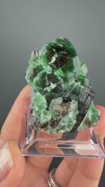 Fluorite with  Black Tourmaline Crystal (Lollipop Pocket), Erongo, Namibia