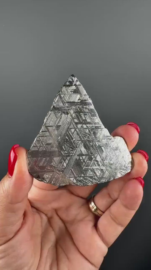 RARE !Muonionalusta Meteorite Slab