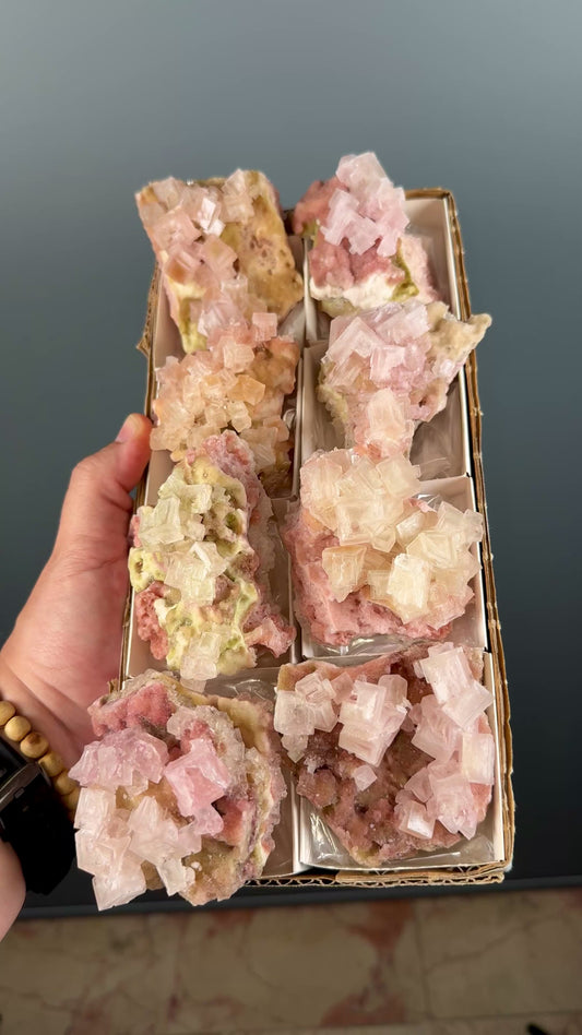 Bicolor Halite Crystal Rainbow Halite on Trona Lot