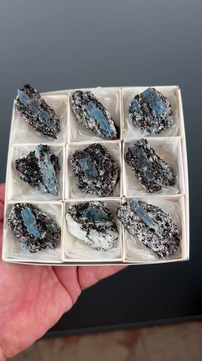 Kyanite with garnet, albite, biotite and Quartz Specimen Lot